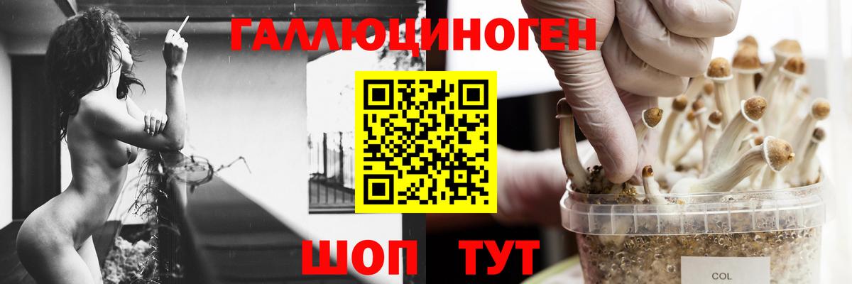 Галлюциногенные грибы мицелий  Вход с VPN  Ноябрьск 